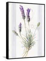 Floursack Lavender III-Danhui Nai-Framed Stretched Canvas