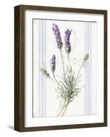 Floursack Lavender III-Danhui Nai-Framed Art Print