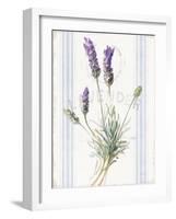 Floursack Lavender III-Danhui Nai-Framed Art Print