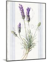 Floursack Lavender III-Danhui Nai-Mounted Art Print