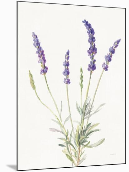Floursack Lavender IV on Linen-Danhui Nai-Mounted Art Print