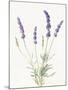 Floursack Lavender IV on Linen-Danhui Nai-Mounted Art Print