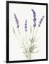 Floursack Lavender IV on Linen-Danhui Nai-Framed Art Print