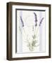 Floursack Lavender IV-Danhui Nai-Framed Art Print