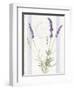 Floursack Lavender IV-Danhui Nai-Framed Art Print