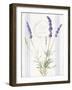 Floursack Lavender IV-Danhui Nai-Framed Art Print