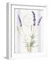 Floursack Lavender IV-Danhui Nai-Framed Art Print