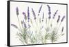 Floursack Lavender V on Linen-Danhui Nai-Framed Stretched Canvas