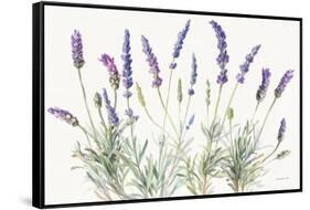 Floursack Lavender V on Linen-Danhui Nai-Framed Stretched Canvas