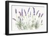 Floursack Lavender V on Linen-Danhui Nai-Framed Art Print