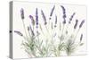 Floursack Lavender V on Linen-Danhui Nai-Stretched Canvas