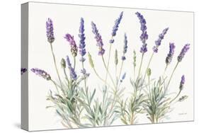 Floursack Lavender V on Linen-Danhui Nai-Stretched Canvas