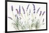 Floursack Lavender V on Linen-Danhui Nai-Framed Art Print