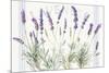 Floursack Lavender V-Danhui Nai-Mounted Art Print