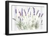 Floursack Lavender V-Danhui Nai-Framed Art Print