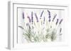 Floursack Lavender V-Danhui Nai-Framed Premium Giclee Print