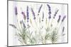 Floursack Lavender V-Danhui Nai-Mounted Premium Giclee Print