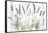 Floursack Lavender V-Danhui Nai-Framed Stretched Canvas