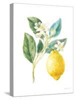 Floursack Lemon I on White-Danhui Nai-Stretched Canvas