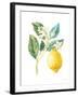 Floursack Lemon I on White-Danhui Nai-Framed Art Print