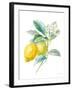 Floursack Lemon II on White-Danhui Nai-Framed Art Print