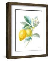 Floursack Lemon II on White-Danhui Nai-Framed Art Print