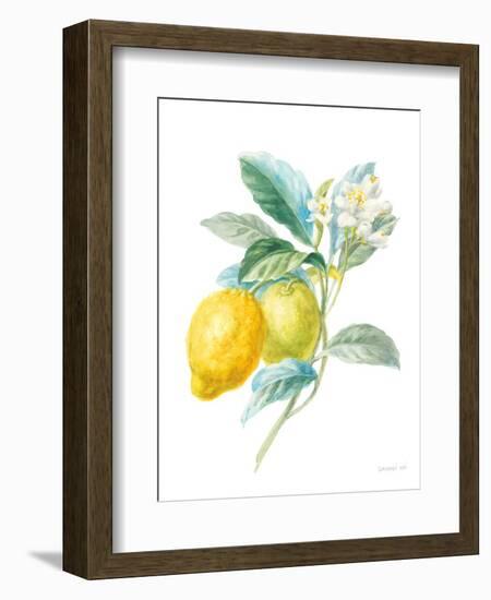 Floursack Lemon II on White-Danhui Nai-Framed Art Print