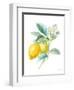 Floursack Lemon II on White-Danhui Nai-Framed Art Print