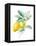 Floursack Lemon II on White-Danhui Nai-Framed Stretched Canvas
