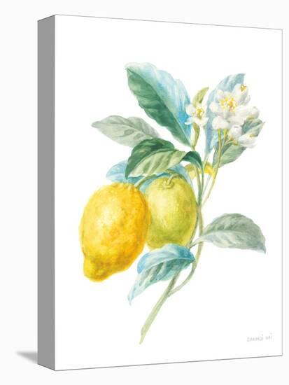 Floursack Lemon II on White-Danhui Nai-Stretched Canvas