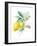 Floursack Lemon II on White-Danhui Nai-Framed Art Print