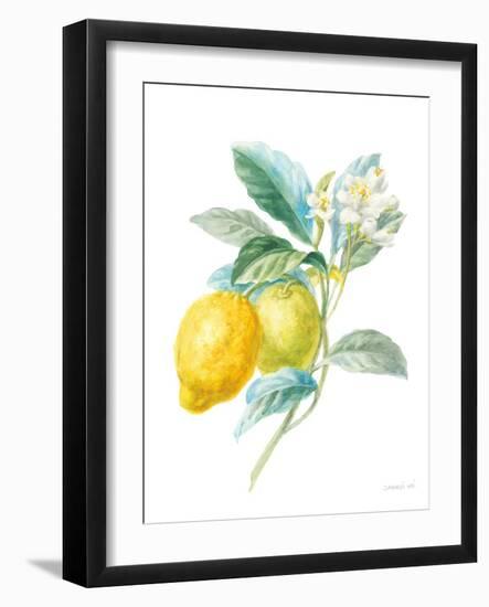 Floursack Lemon II on White-Danhui Nai-Framed Art Print