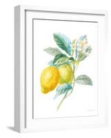 Floursack Lemon II on White-Danhui Nai-Framed Art Print