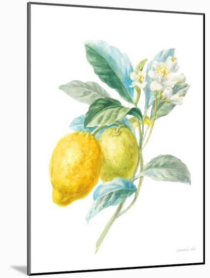 Floursack Lemon II on White-Danhui Nai-Mounted Art Print