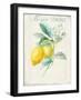 Floursack Lemon II v2-Danhui Nai-Framed Art Print