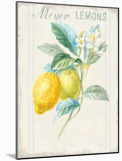 Floursack Lemon II v2-Danhui Nai-Mounted Art Print