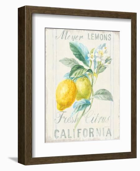 Floursack Lemon II-Danhui Nai-Framed Art Print