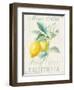 Floursack Lemon II-Danhui Nai-Framed Art Print