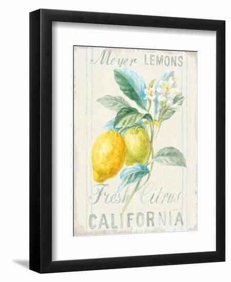 Floursack Lemon II-Danhui Nai-Framed Art Print