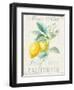 Floursack Lemon II-Danhui Nai-Framed Art Print