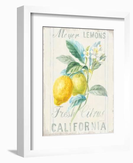 Floursack Lemon II-Danhui Nai-Framed Art Print