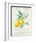 Floursack Lemon II-Danhui Nai-Framed Art Print