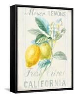 Floursack Lemon II-Danhui Nai-Framed Stretched Canvas