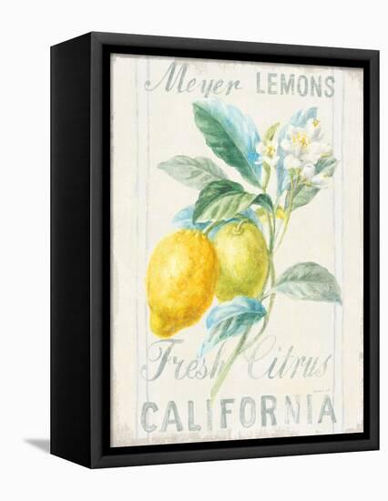 Floursack Lemon II-Danhui Nai-Framed Stretched Canvas