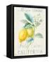 Floursack Lemon II-Danhui Nai-Framed Stretched Canvas