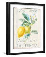 Floursack Lemon II-Danhui Nai-Framed Art Print