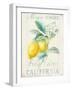 Floursack Lemon II-Danhui Nai-Framed Art Print
