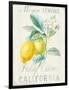 Floursack Lemon II-Danhui Nai-Framed Art Print