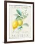 Floursack Lemon II-Danhui Nai-Framed Art Print