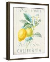 Floursack Lemon II-Danhui Nai-Framed Art Print